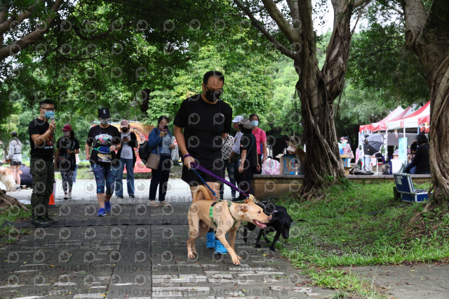 2022第五屆奔跑吧！毛小孩公益路跑-綠寶石運動公園