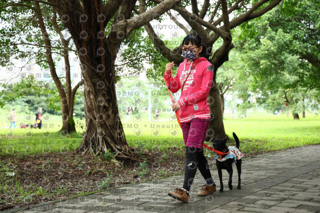 2022第五屆奔跑吧！毛小孩公益路跑-綠寶石運動公園