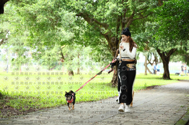 2022第五屆奔跑吧！毛小孩公益路跑-綠寶石運動公園