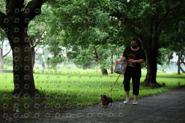 2022第五屆奔跑吧！毛小孩公益路跑-綠寶石運動公園