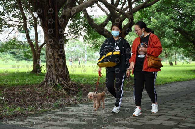 2022第五屆奔跑吧！毛小孩公益路跑-綠寶石運動公園