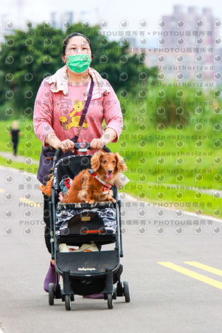 2022第五屆奔跑吧！毛小孩公益路跑-綠寶石運動公園