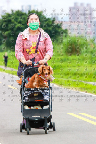 2022第五屆奔跑吧！毛小孩公益路跑-綠寶石運動公園