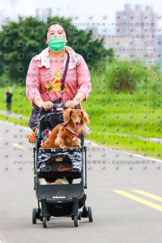 2022第五屆奔跑吧！毛小孩公益路跑-綠寶石運動公園