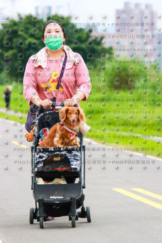 2022第五屆奔跑吧！毛小孩公益路跑-綠寶石運動公園