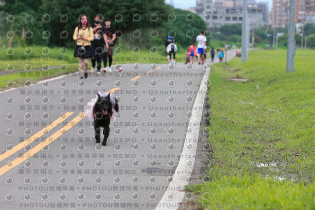 2022第五屆奔跑吧！毛小孩公益路跑-綠寶石運動公園