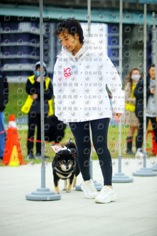 2023咪可思奔跑吧!毛小孩公益路跑 -三重水樣加開場