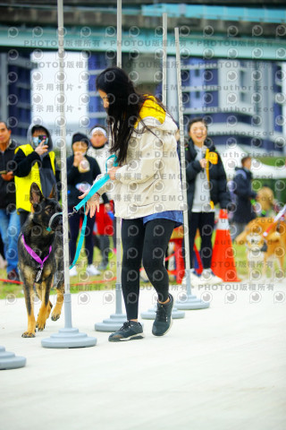 2023咪可思奔跑吧!毛小孩公益路跑 -三重水樣加開場