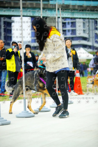 2023咪可思奔跑吧!毛小孩公益路跑 -三重水樣加開場