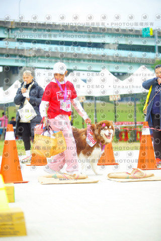 2023咪可思奔跑吧!毛小孩公益路跑 -三重水樣加開場