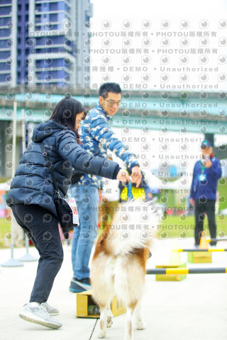 2023咪可思奔跑吧!毛小孩公益路跑 -三重水樣加開場