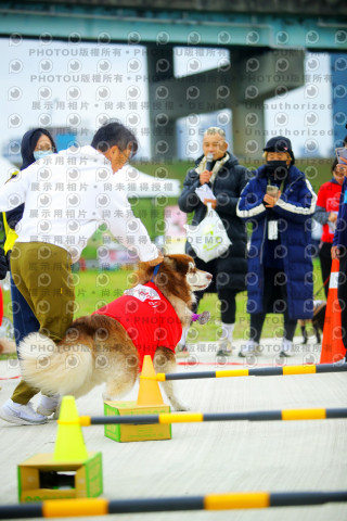 2023咪可思奔跑吧!毛小孩公益路跑 -三重水樣加開場