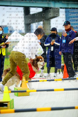 2023咪可思奔跑吧!毛小孩公益路跑 -三重水樣加開場