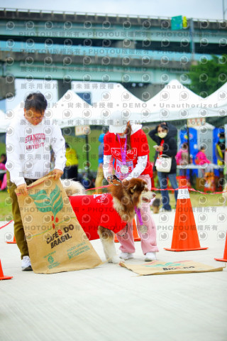 2023咪可思奔跑吧!毛小孩公益路跑 -三重水樣加開場