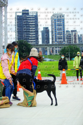 2023咪可思奔跑吧!毛小孩公益路跑 -三重水樣加開場