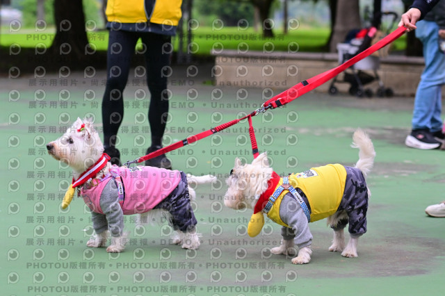 2024第六屆奔跑吧!毛小孩公益路跑
