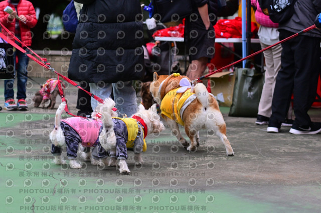 2024第六屆奔跑吧!毛小孩公益路跑