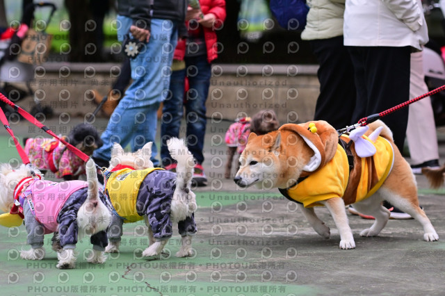 2024第六屆奔跑吧!毛小孩公益路跑