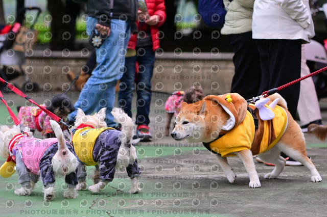 2024第六屆奔跑吧!毛小孩公益路跑