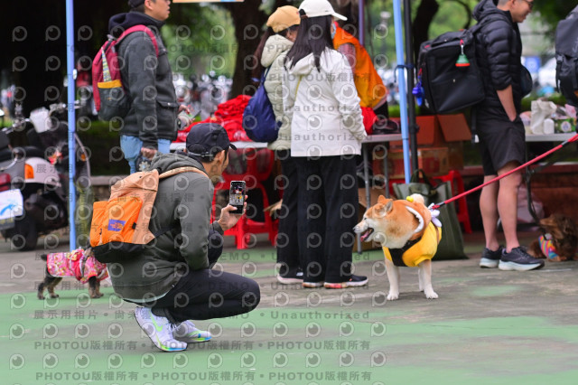 2024第六屆奔跑吧!毛小孩公益路跑
