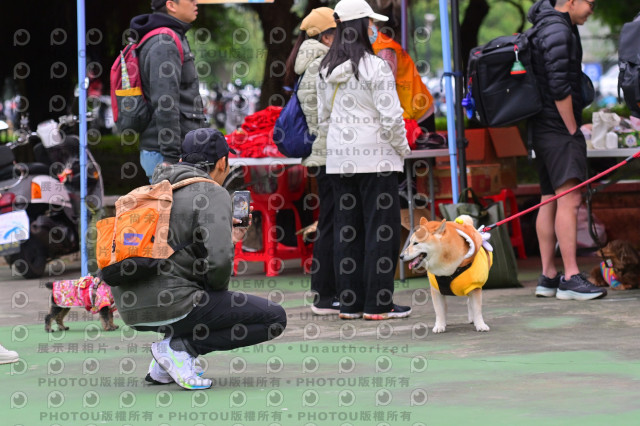 2024第六屆奔跑吧!毛小孩公益路跑