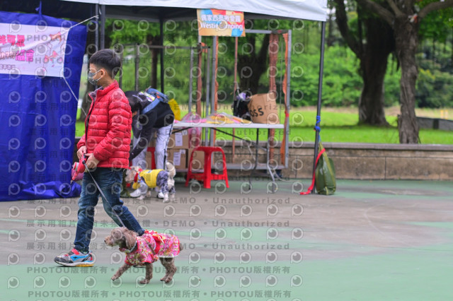 2024第六屆奔跑吧!毛小孩公益路跑