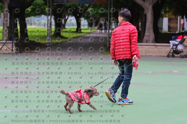 2024第六屆奔跑吧!毛小孩公益路跑