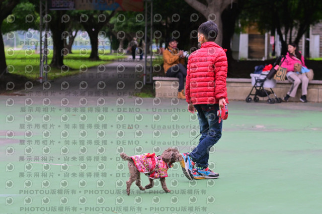 2024第六屆奔跑吧!毛小孩公益路跑