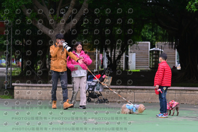 2024第六屆奔跑吧!毛小孩公益路跑