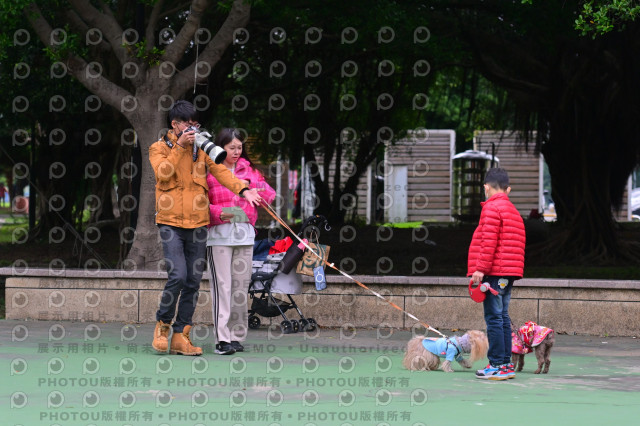 2024第六屆奔跑吧!毛小孩公益路跑