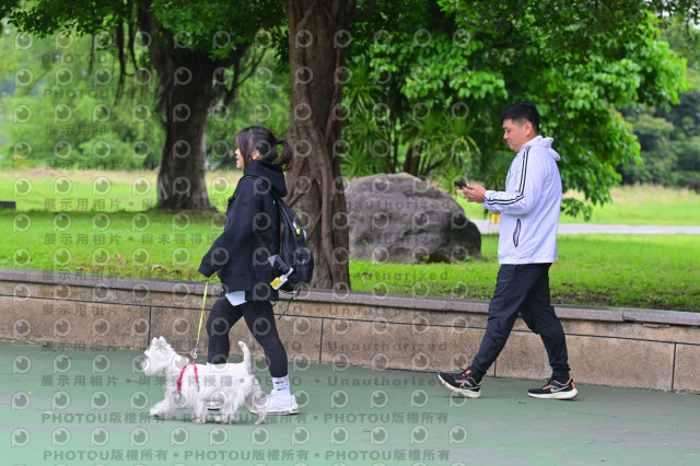 2024第六屆奔跑吧!毛小孩公益路跑