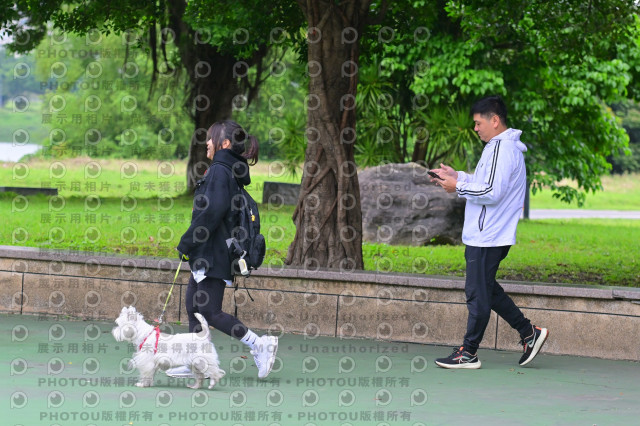 2024第六屆奔跑吧!毛小孩公益路跑