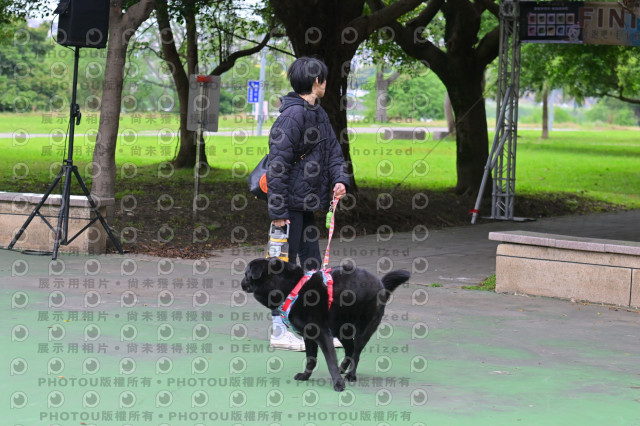 2024第六屆奔跑吧!毛小孩公益路跑