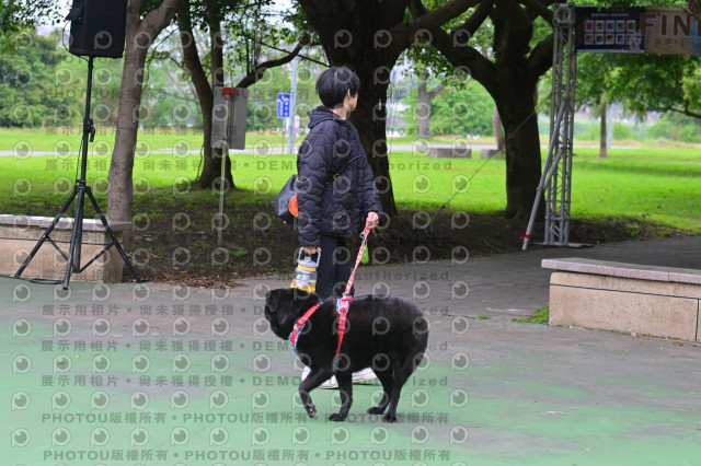 2024第六屆奔跑吧!毛小孩公益路跑
