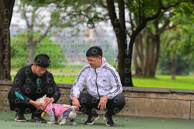 2024第六屆奔跑吧!毛小孩公益路跑