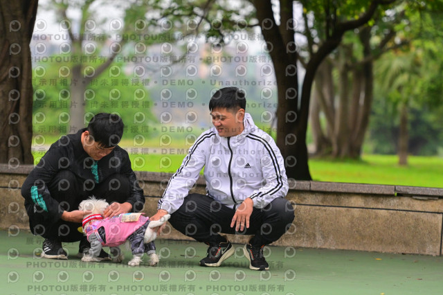 2024第六屆奔跑吧!毛小孩公益路跑