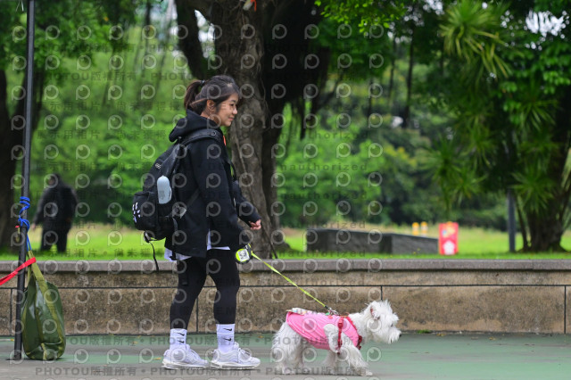 2024第六屆奔跑吧!毛小孩公益路跑