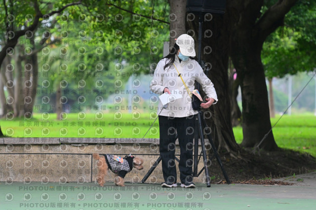 2024第六屆奔跑吧!毛小孩公益路跑