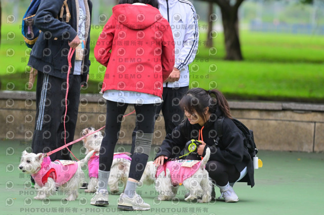 2024第六屆奔跑吧!毛小孩公益路跑