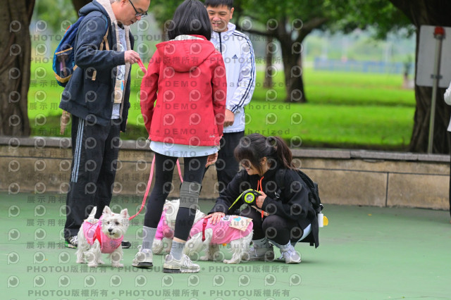 2024第六屆奔跑吧!毛小孩公益路跑