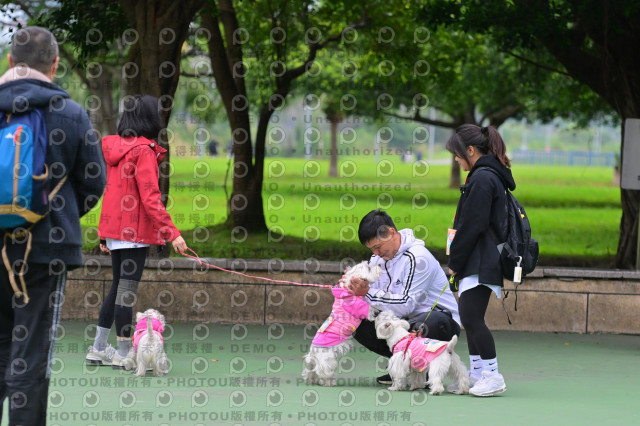2024第六屆奔跑吧!毛小孩公益路跑