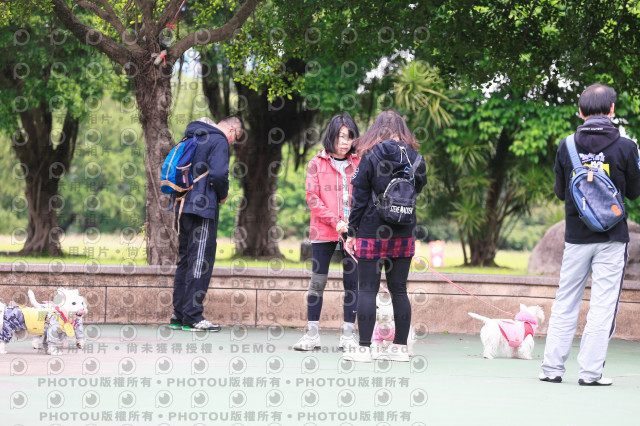 2024第六屆奔跑吧!毛小孩公益路跑