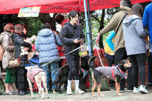 2024第六屆奔跑吧!毛小孩公益路跑