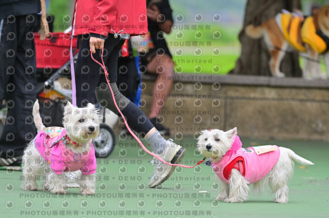 2024第六屆奔跑吧!毛小孩公益路跑