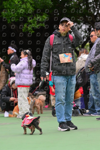 2024第六屆奔跑吧!毛小孩公益路跑