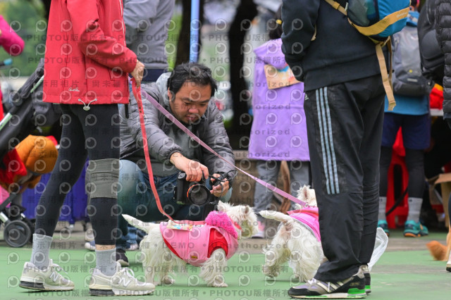 2024第六屆奔跑吧!毛小孩公益路跑
