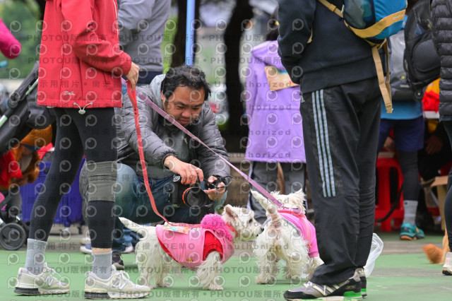 2024第六屆奔跑吧!毛小孩公益路跑
