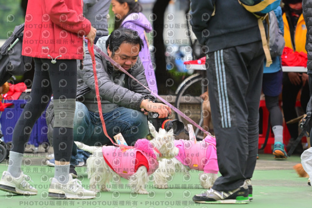 2024第六屆奔跑吧!毛小孩公益路跑