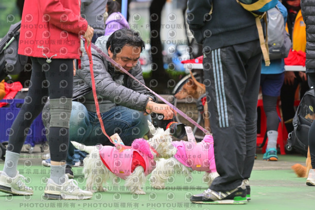 2024第六屆奔跑吧!毛小孩公益路跑
