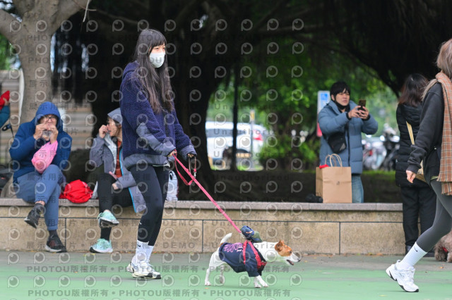 2024第六屆奔跑吧!毛小孩公益路跑